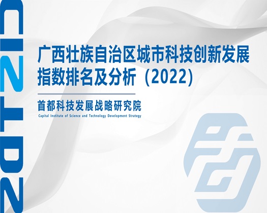 操屄视屏【成果发布】广西壮族自治区城市科技创新发展指数排名及分析（2022）